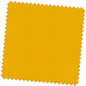 Palette-Dijon