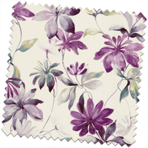 Alaria-Violet
