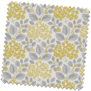 Hydrangea-Primrose