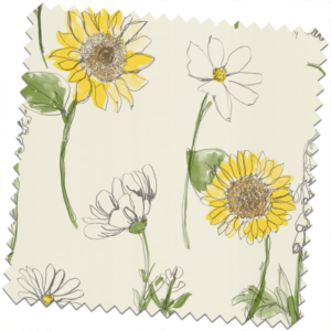 Kimberley-Sunflower