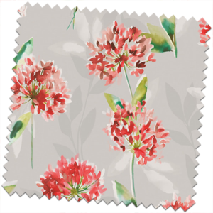 Zinnia-Blackout-Orange