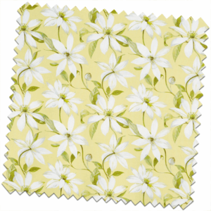 Bloom Olivia Primrose Made to Measure Curtains