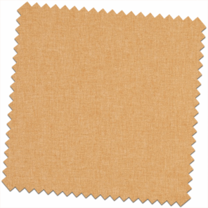 Essence Empower Apricot Made to Measure Curtains